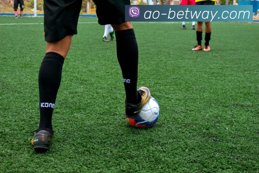 BETWAY必威官网APP 封面图